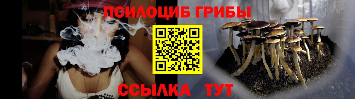 Галлюциногенные грибы Magic Shrooms Видное
